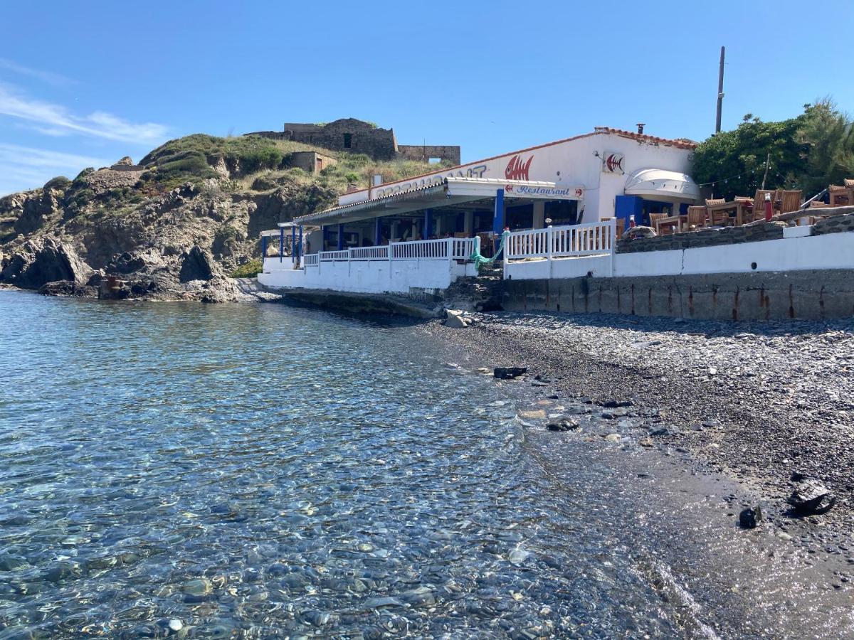 Вилла Mas De La Riviere Villelongue-de-la-Salanque Экстерьер фото