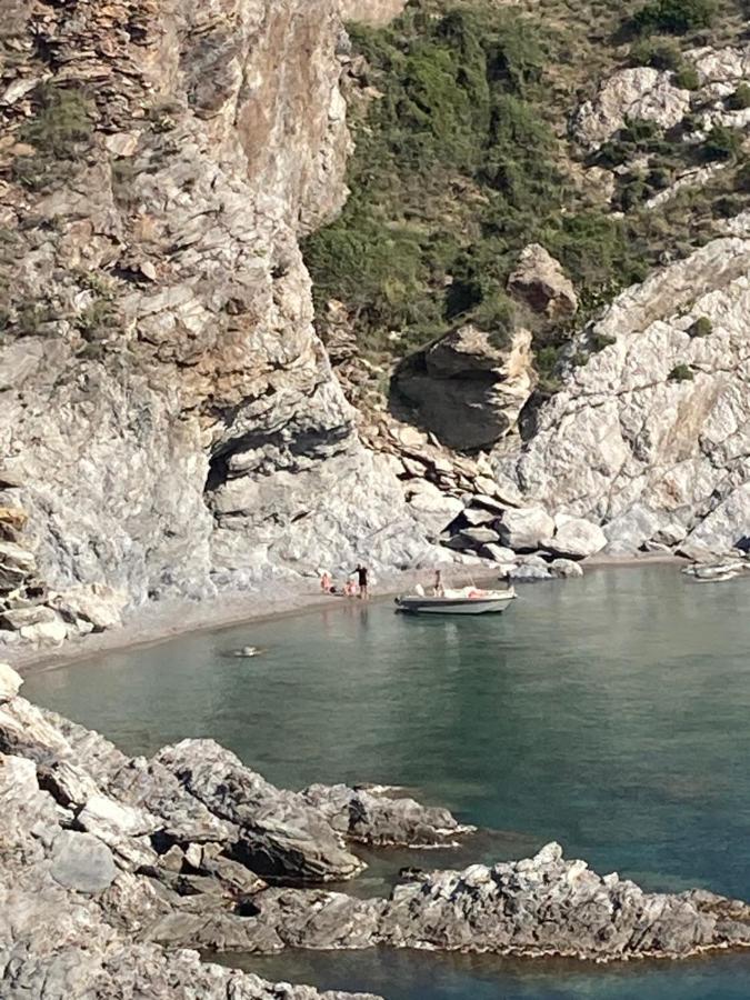 Вилла Mas De La Riviere Villelongue-de-la-Salanque Экстерьер фото