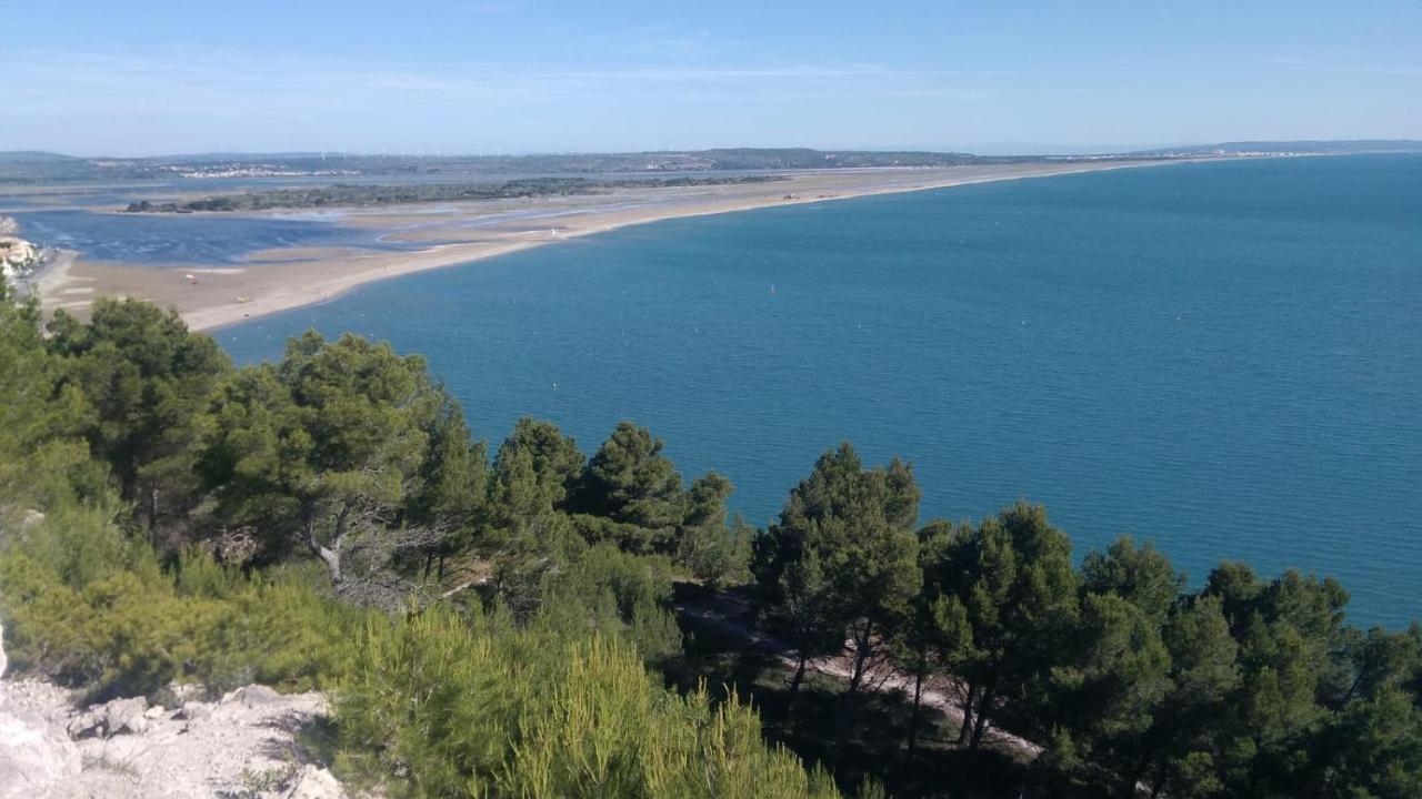 Вилла Mas De La Riviere Villelongue-de-la-Salanque Экстерьер фото